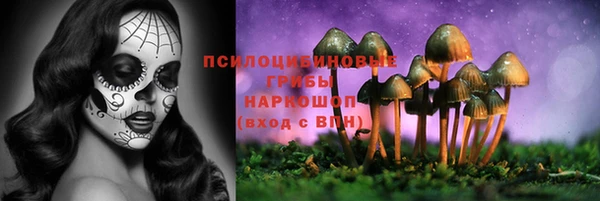 mdma Белокуриха