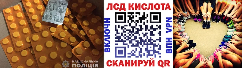 Лсд 25 экстази ecstasy  купить наркоту  Елизово 